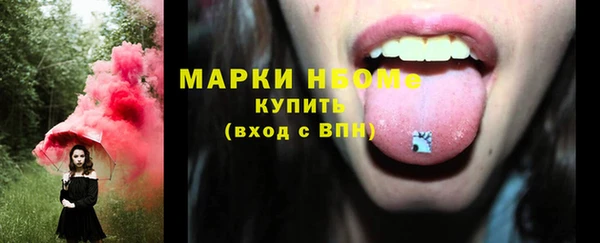 прущие грибы Алзамай