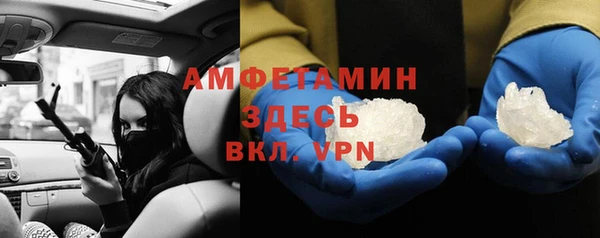 прущие грибы Алзамай