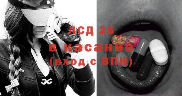 прущие грибы Алзамай